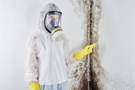 Reliable New Berlin, WI Mold Removal & Remediation Solutions